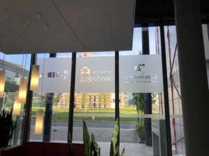 Fenster Folierung | Glasdekorfolien